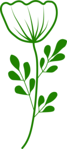 Online Therapy Flower