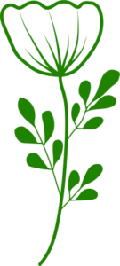 Online Therapy Flower