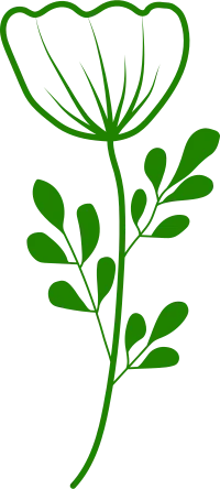 Online Therapy Flower